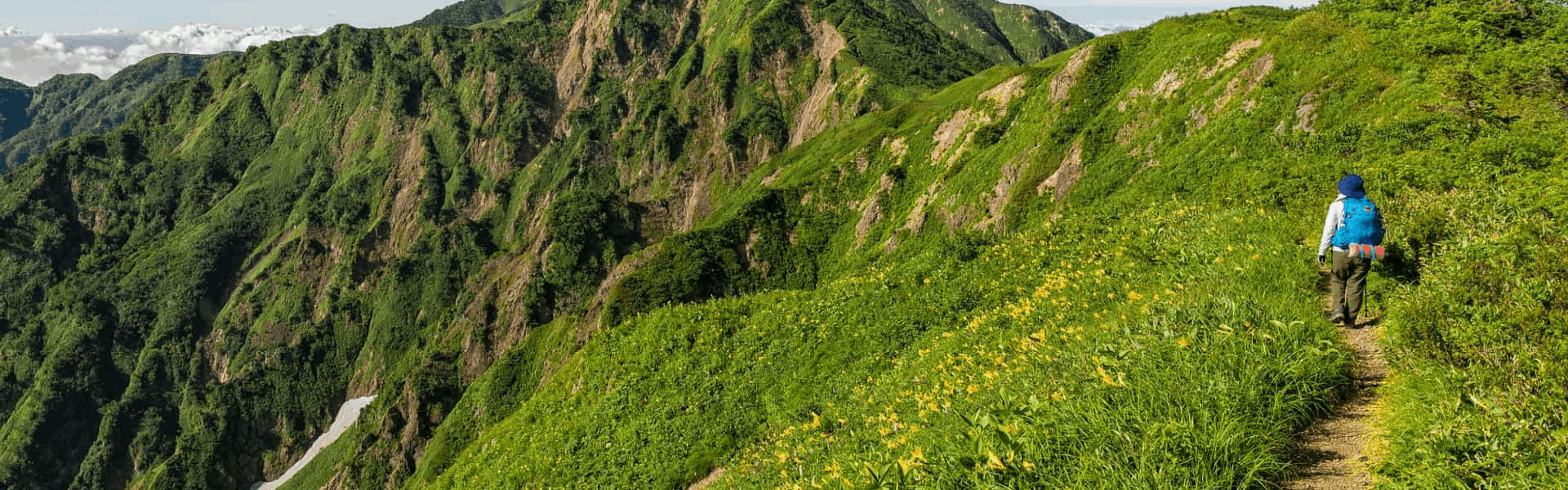 Hakkımızda